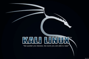 最全的KALI&BT5 linux网络攻防教程