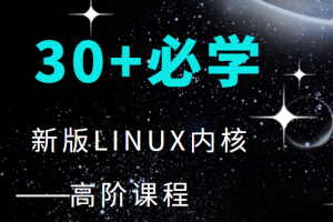 30+程序必学 新版LINUX内核高阶课程