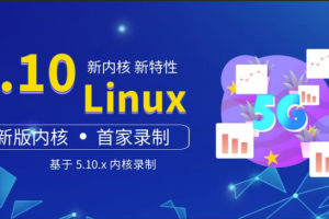 王利涛 嵌入式工程师自我修养系列视频教程 Linux三剑客