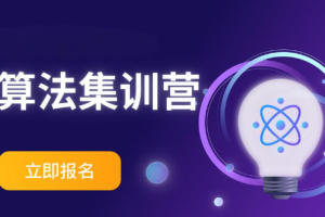 2024洛谷算法训练营