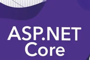 ASP.NET Core 入门指南(英文版)