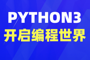 Python 3 编程入门指南(英文版)