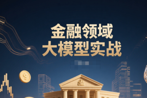 金融领域大模型实战