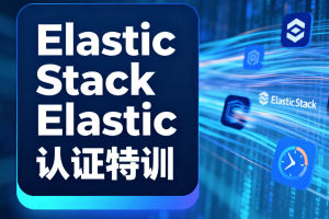 Elastic Stack Elastic认证特训