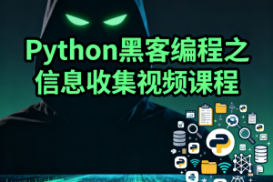 Python黑客编程之信息收集视频课程