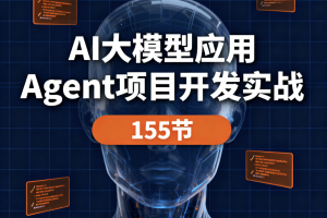 AI大模型应用 Agent项目开发实战 155节