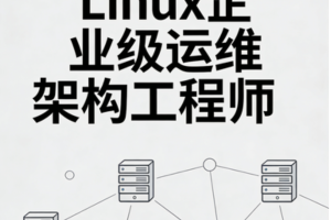 Linux企业级运维架构工程师 Prometheus+Docker+Jenkins+ZB+NG+keepalived+lvs+Kafka