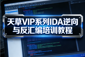 天草VIP系列IDA逆向与反汇编培训教程