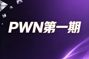 晚安PWN第一期