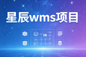 星辰wms项目
