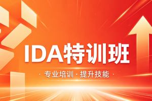 IDA特训班